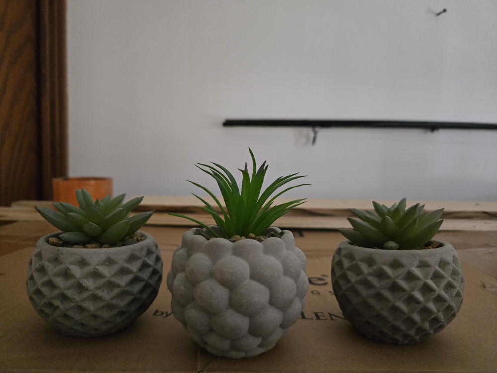 Set of 3 Concrete Succulent Planters