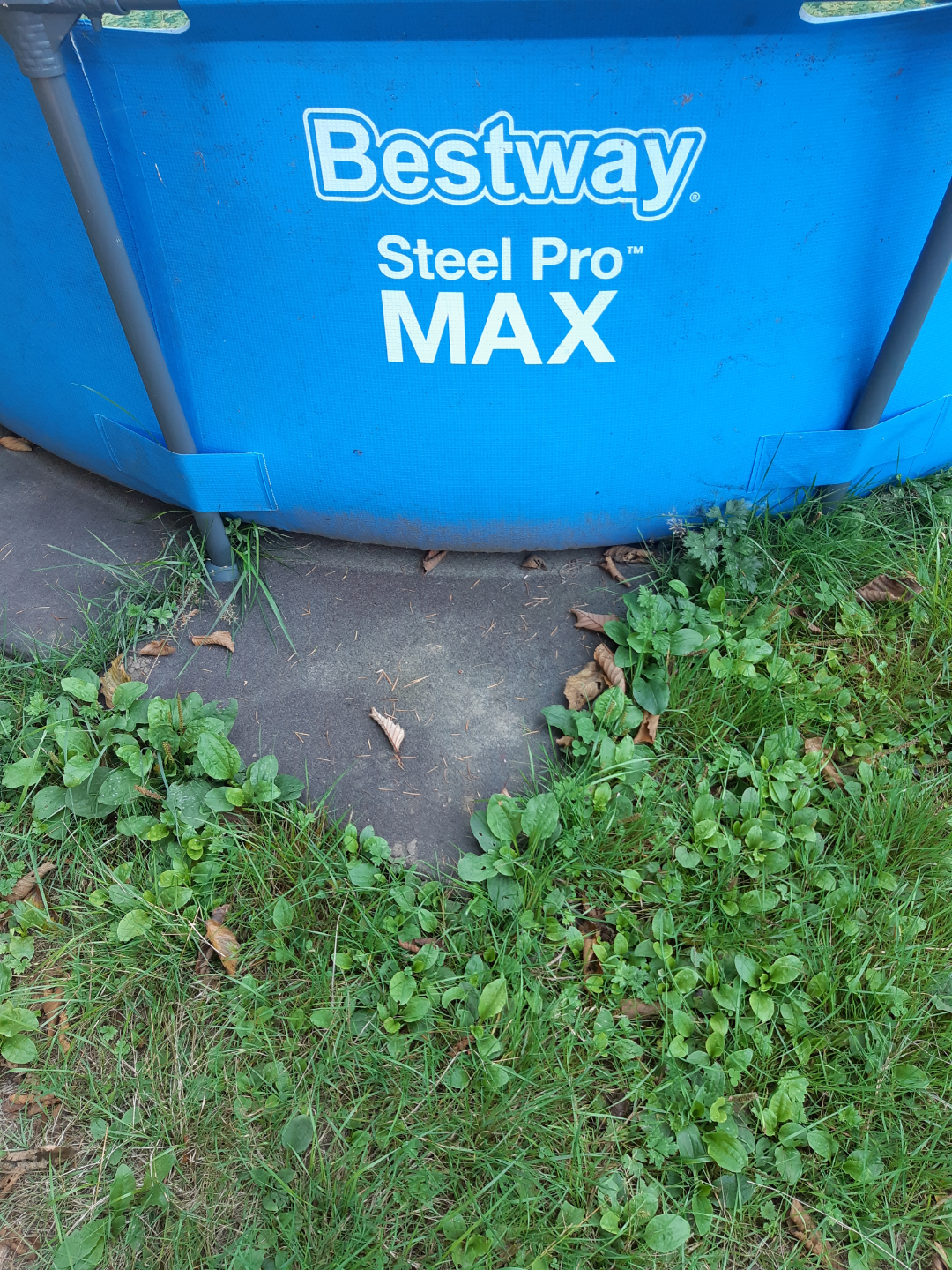 Bestway Outdoor Pool - photo 3