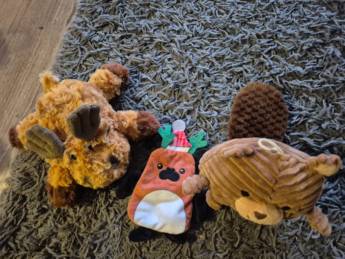 Dog Toys - Bundle of 4! image indicator(2)