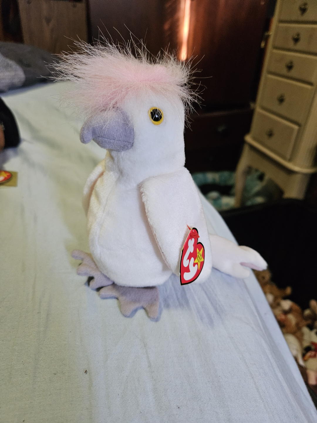 Beanie Babies - photo 4