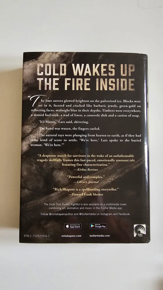 Rich Shapero Novels Collection (4 Books)  🥕 💚 image indicator(4)