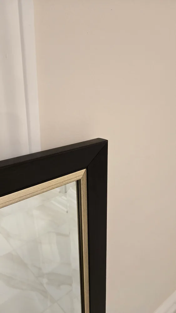 Wayfair Black & Gold Mirror 40" x 28" image indicator(2)