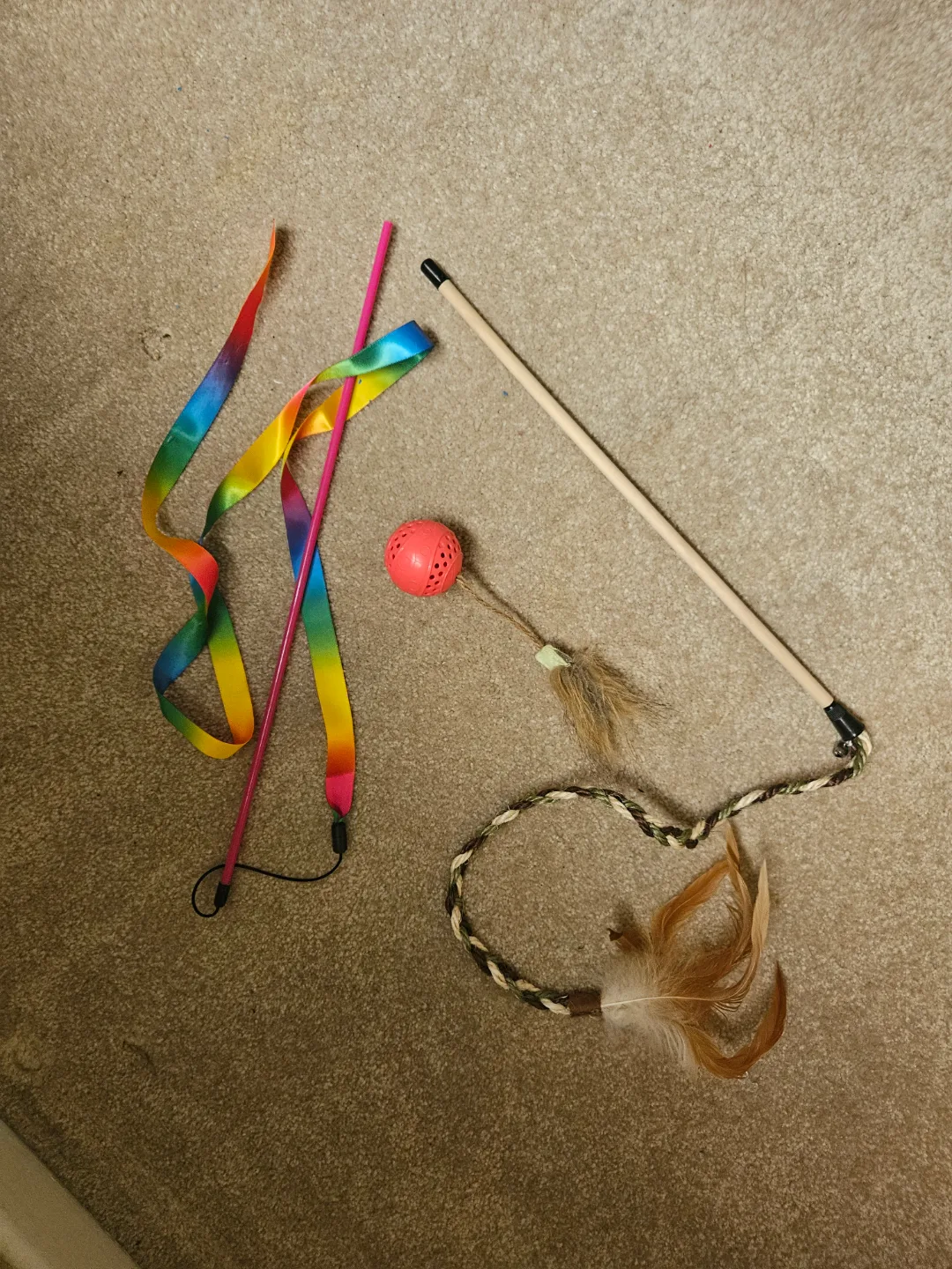 Cat Toys Bundle - Wand, Ribbon, Ball 💚 #freecycle thumbnail