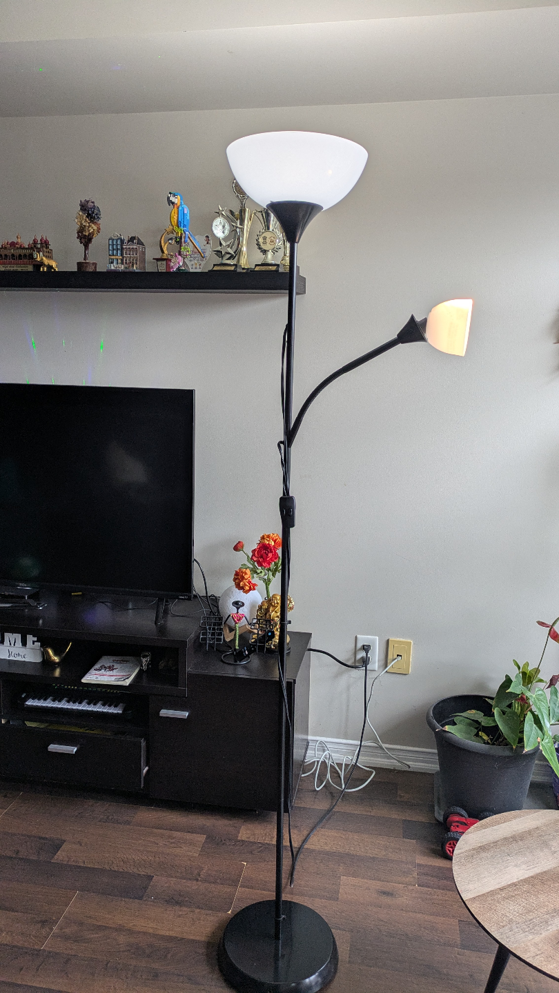 Ikea Two-Light Black Floor Lamp