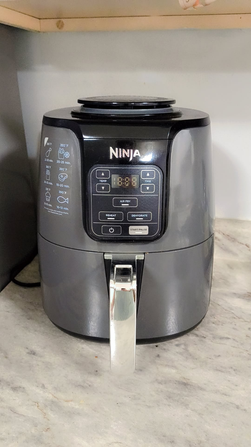 Ninja Air Fryer 4 QT