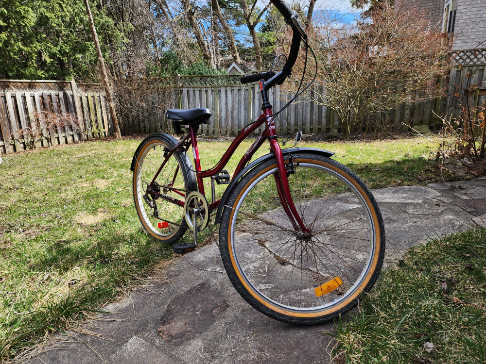 Pathfinder Cruiser Bike - photo 3