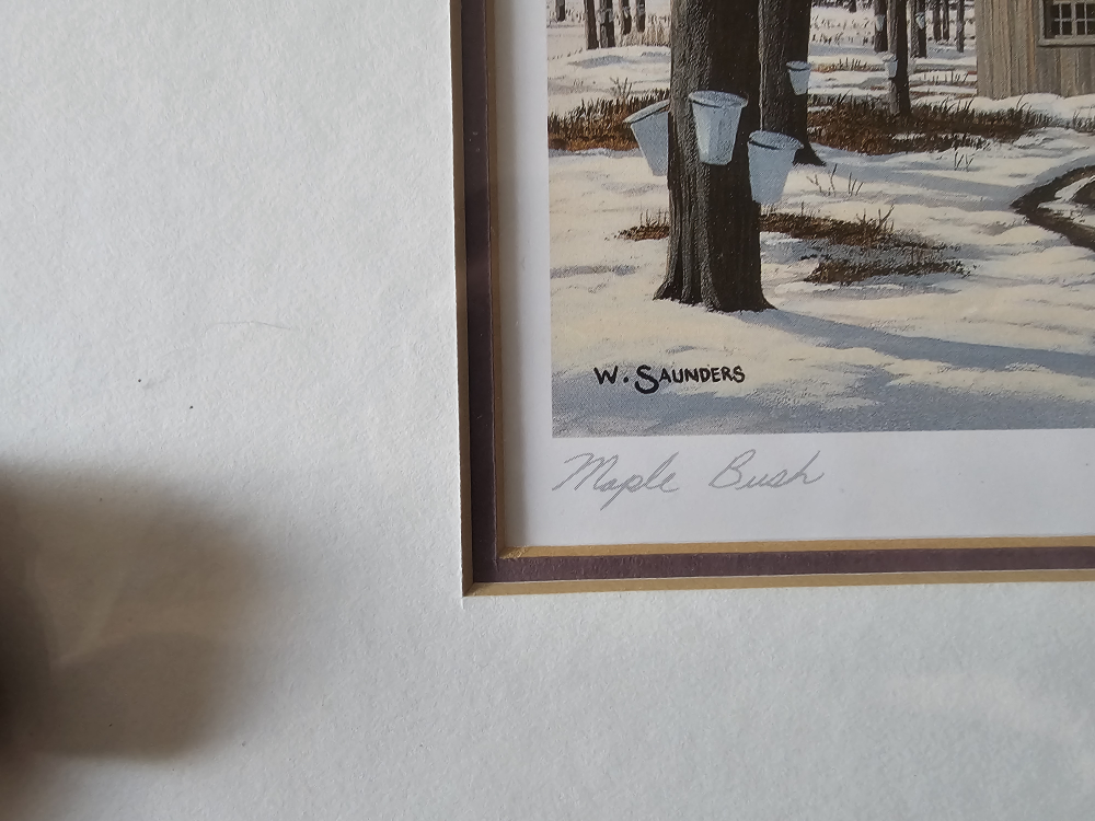 Framed Bill Saunders Maple Bush Print - photo 3
