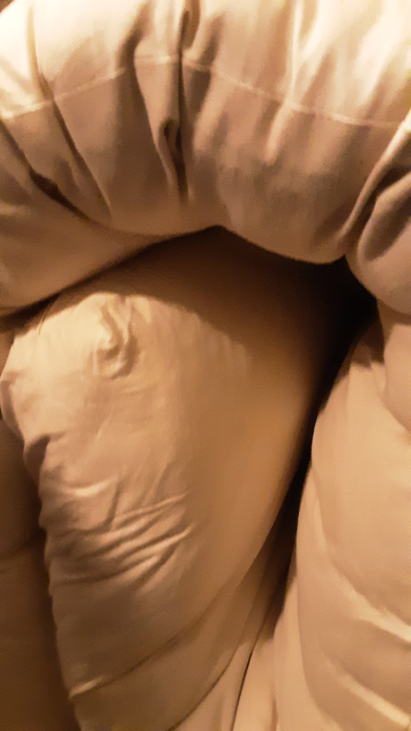Rolled-up Mattress Topper - photo 3