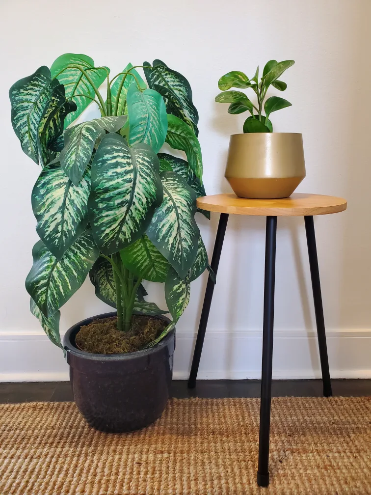 Round Plant Stand with Three Heights image indicator(2)