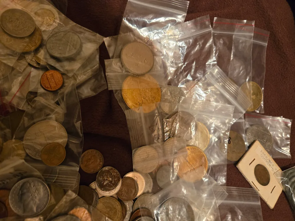 Large Coin Collection - Various Countries and Years image indicator(6)