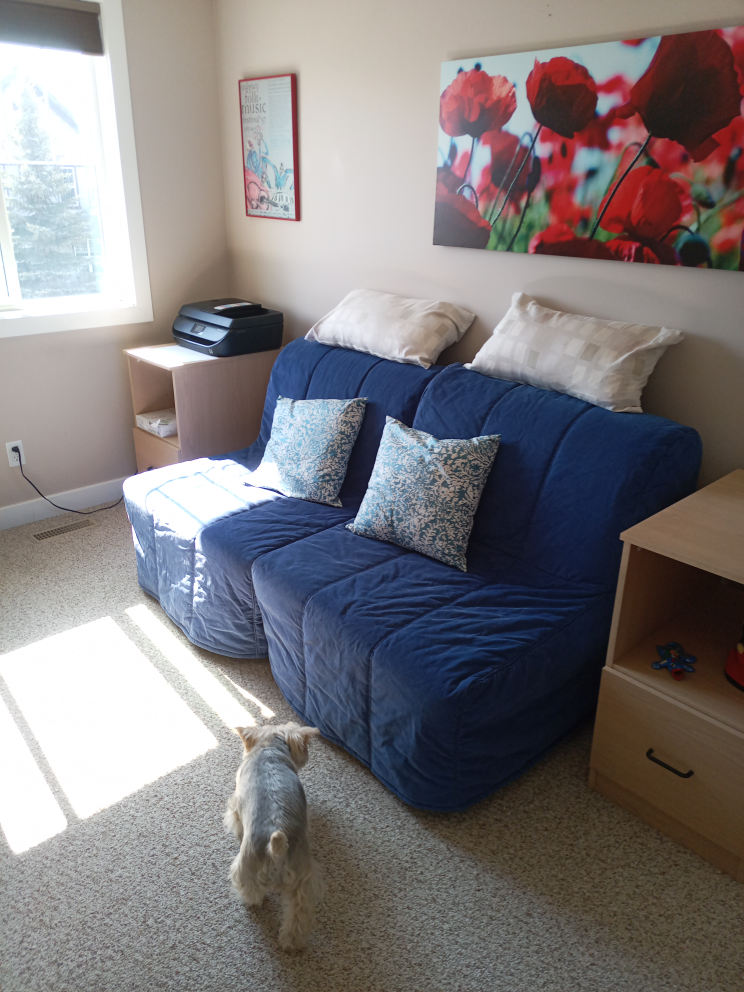 IKEA Friheten 2 Sofa-beds. Blue