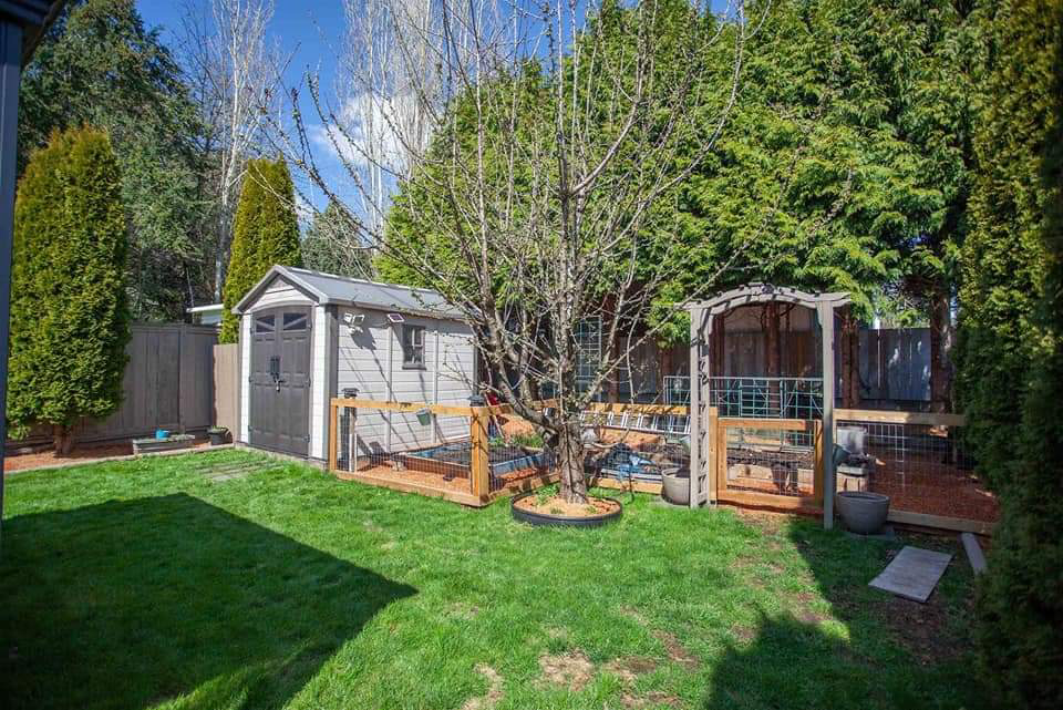 4 bed rooms house in White Rock(near Earl Marriott Secondary