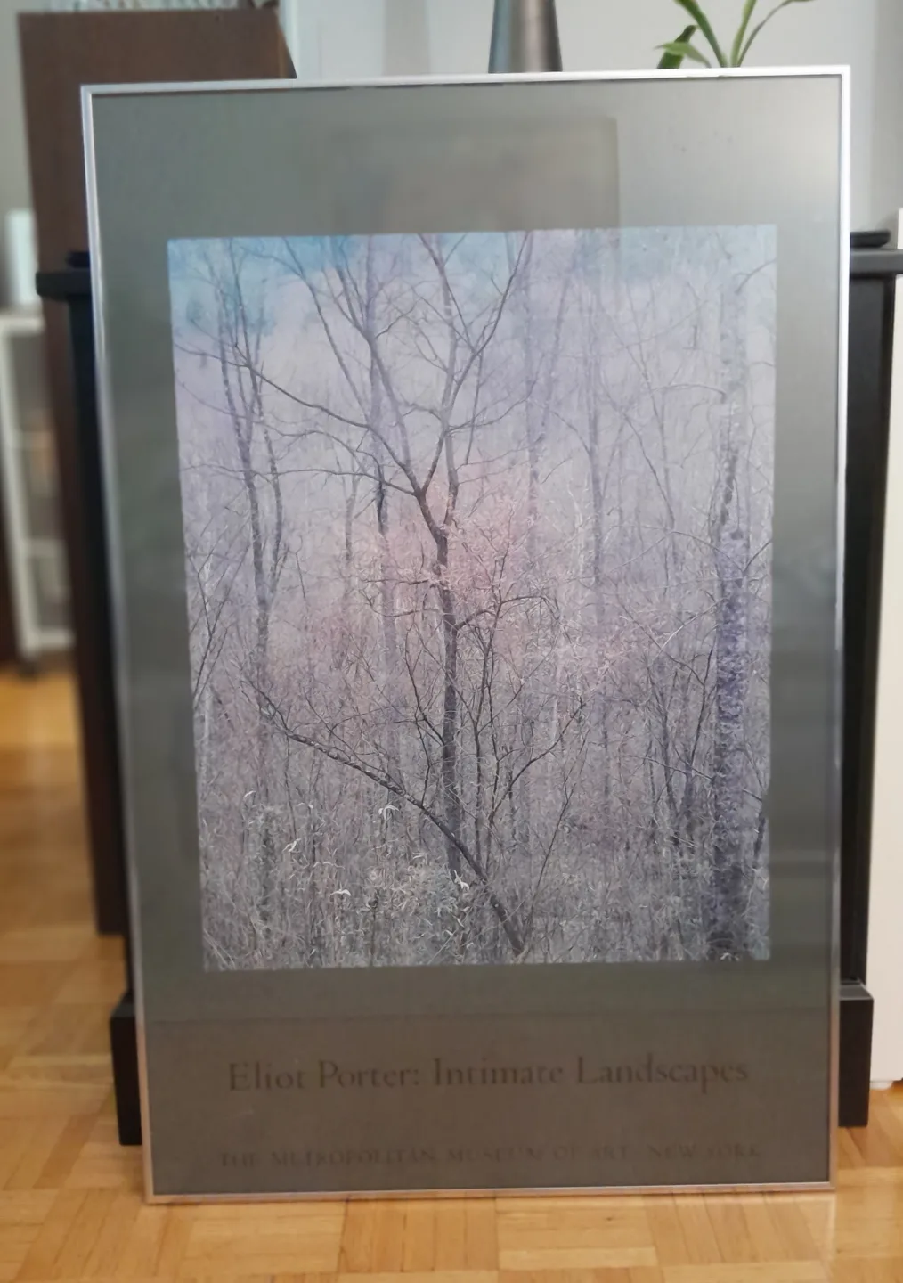 Framed Art work by Eliot Porter thumbnail