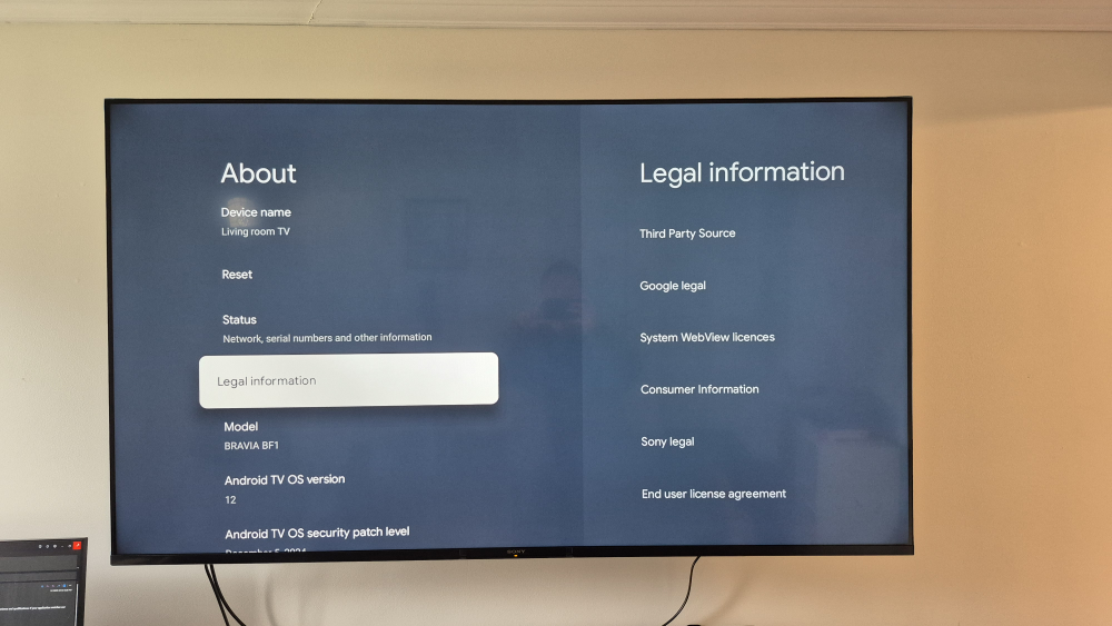 Sony Bravia 65 inch 4K Smart TV - photo 3