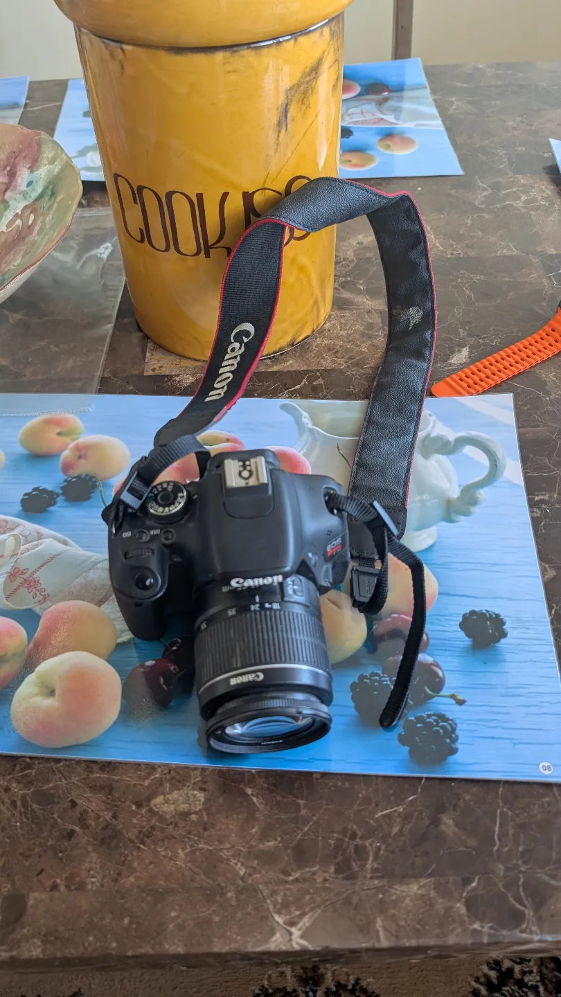 Canon EOS Rebel T5 DSLR Camera with Lens image indicator(2)