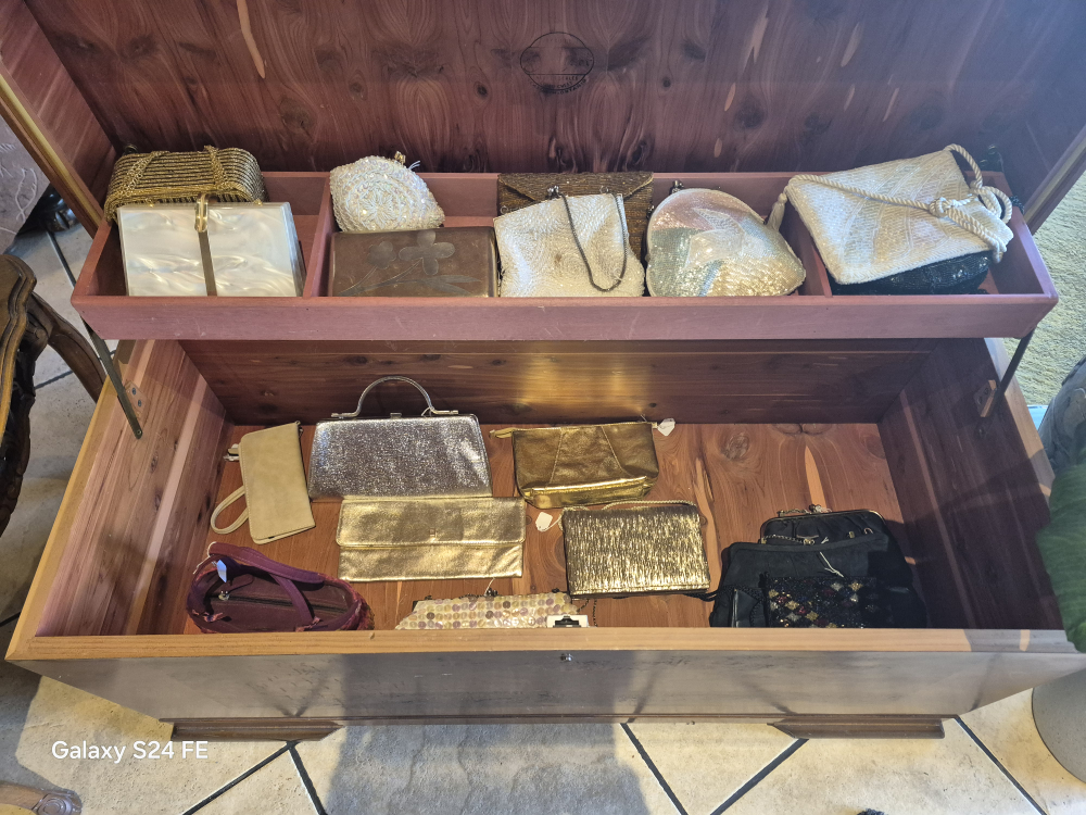 Vintage Evening Bags & Handbags Collection