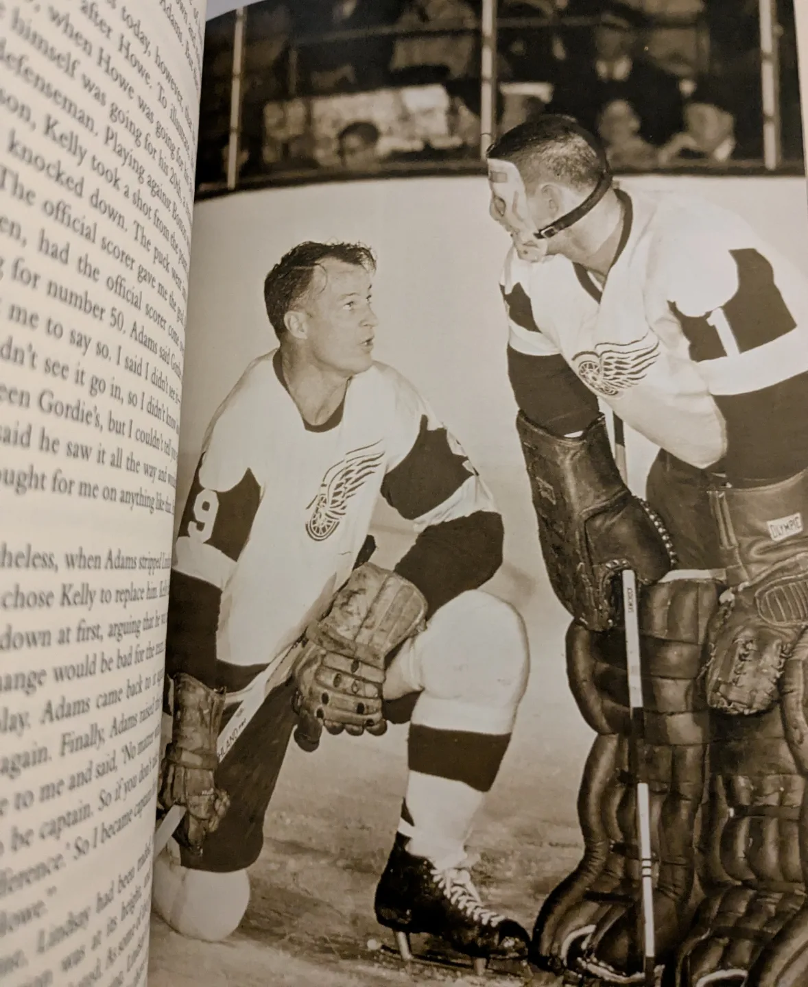 Elbows up! Biography of Gordie Howe image indicator(4)