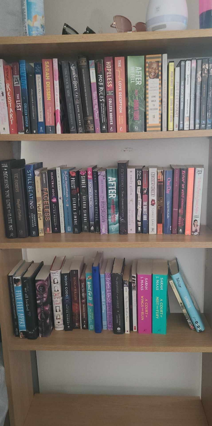 Collection of Young Adult and Adult Fiction Books