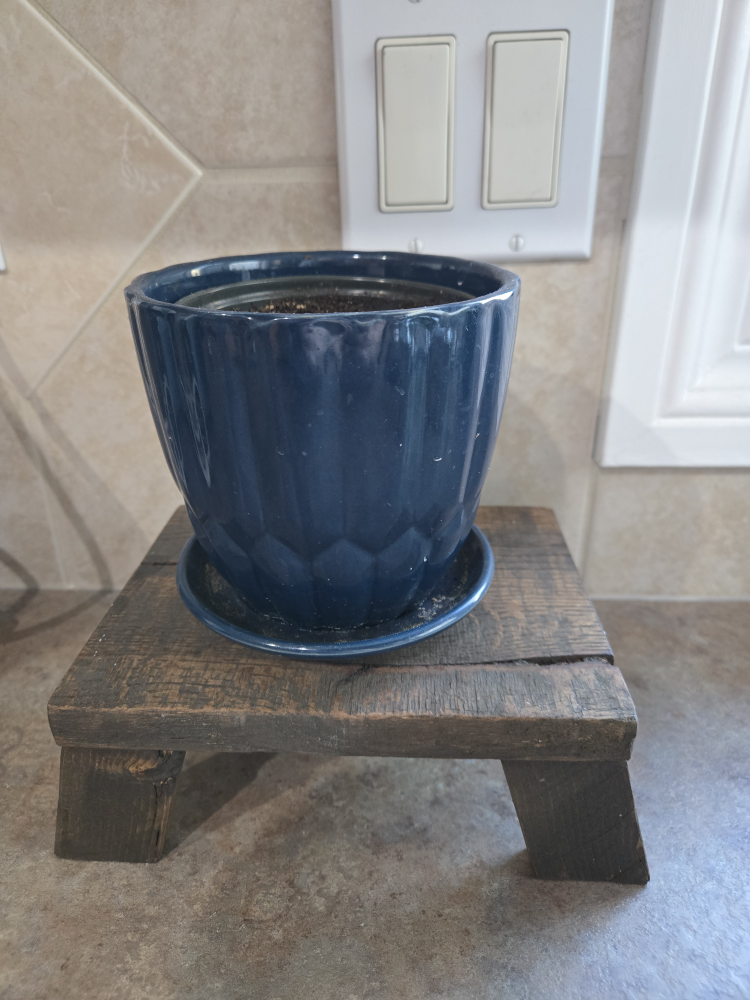 Dark Blue Planter with Wooden Stand
