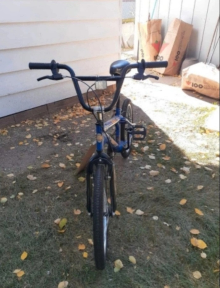 Next BMX Bike - photo 2