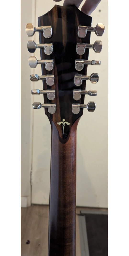 Taylor Guitars 12-String Acoustic Guitar - photo 4