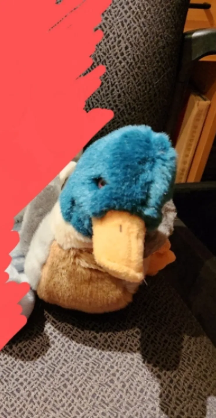 Duck Plush Toy thumbnail