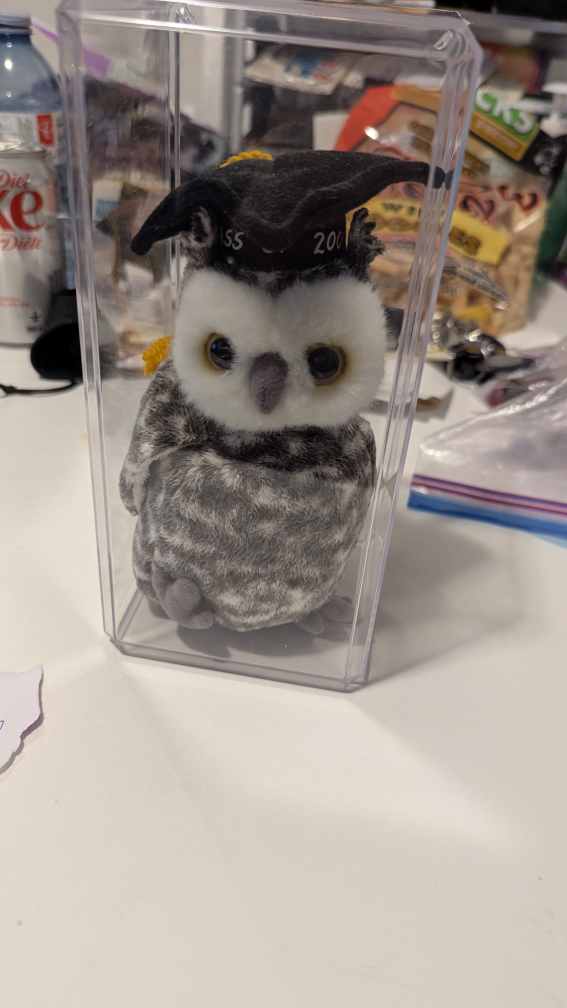 Graduation Owl Plush Toy in Case