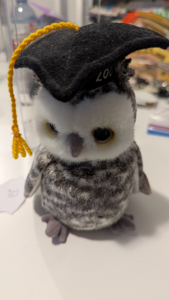 Graduation Owl Plush Toy in Case - photo 2
