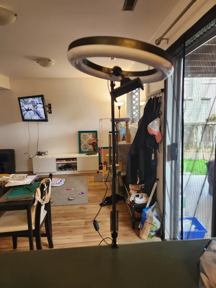 Ring light with stand image indicator(2)