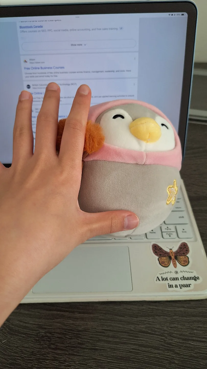 MINISO Plush Penguin Toy image indicator(4)