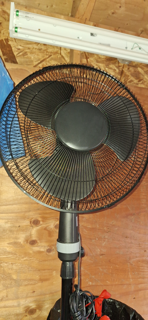 Oscillating Stand Fan