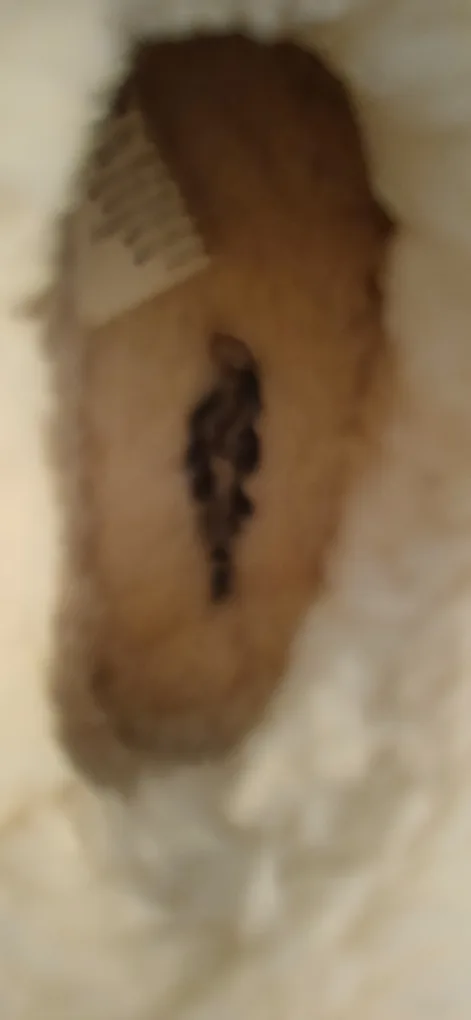 Cozy Faux Fur-Lined Slippers size small image indicator(4)