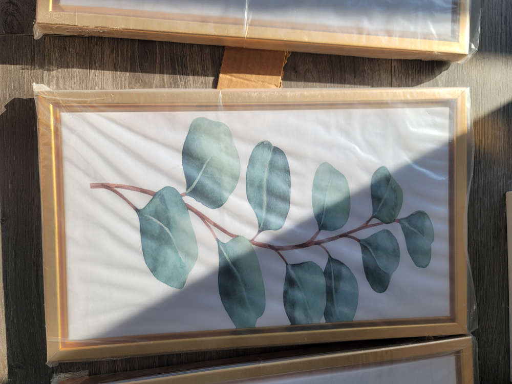 Set of three eucalyptus leaf framed wall art - photo 3
