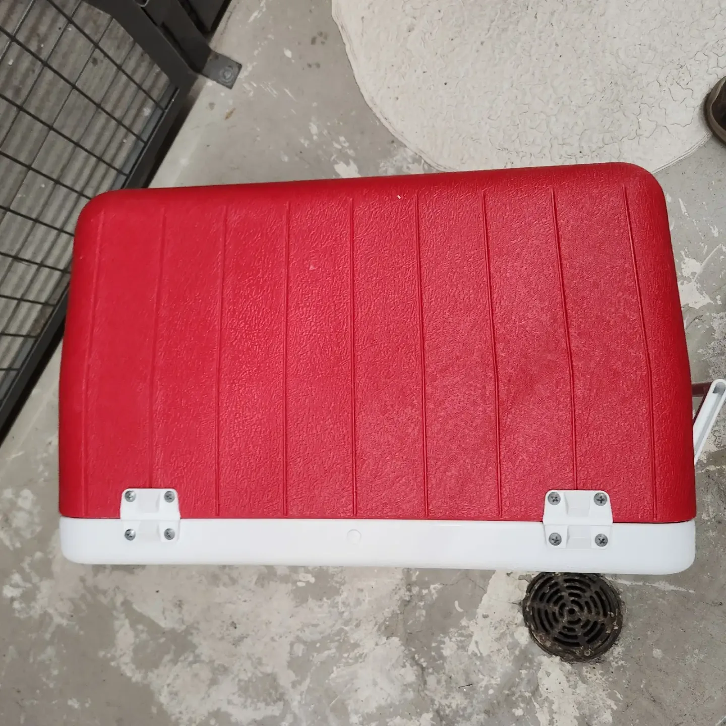 Coleman Red and White Cooler 48qt image indicator(3)