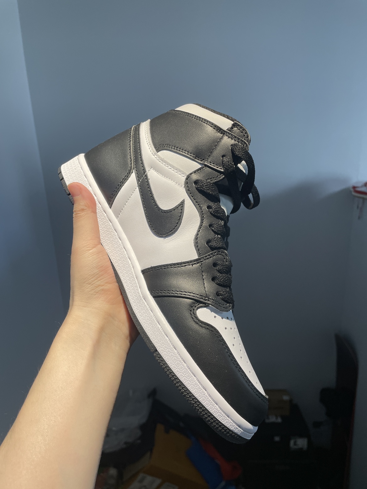 AJ1 - photo 4