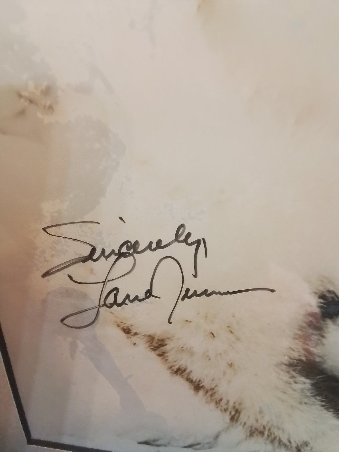Framed autographed picture of Lana Turner - photo 3