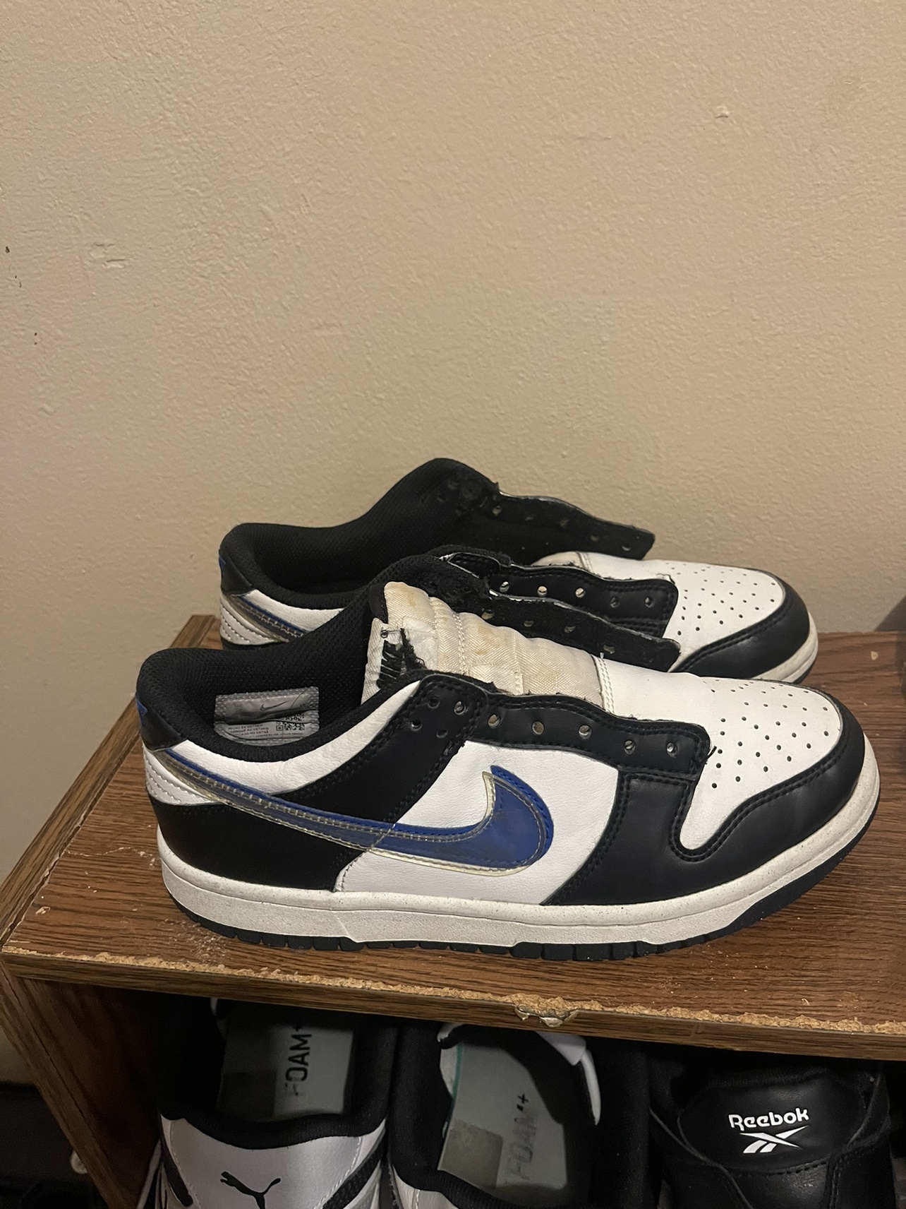 Nike Dunk Low SE - photo 5