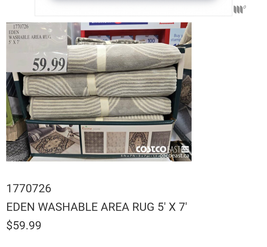 Eden Washable Area Rug 5' x 7' 💚