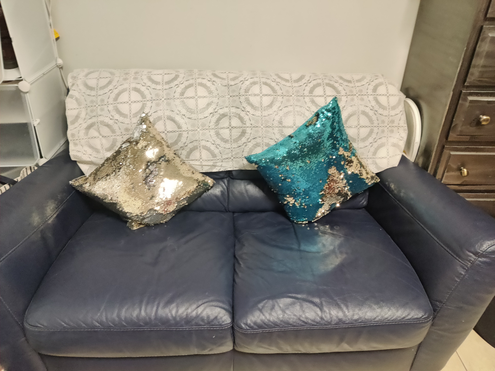 2 seater couch (loveseat)