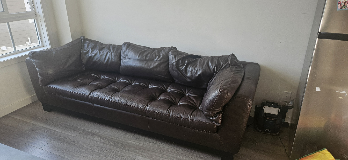 Free Brown Leather Sofa/ couches