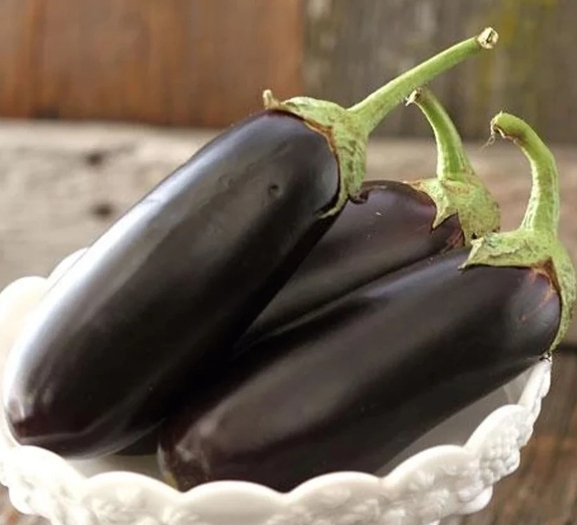 Diamond Eggplant Seedlings
