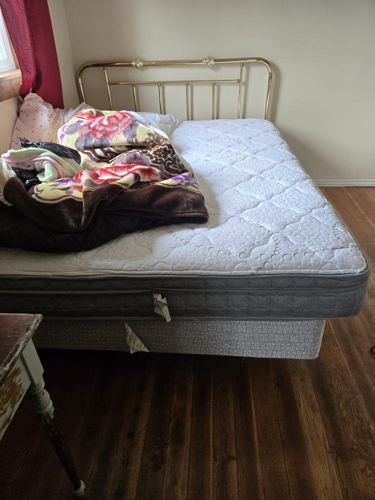 queen Frame and Mattress Set