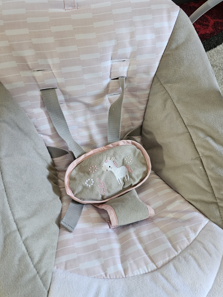 Ingenuity Baby Swing - photo 3
