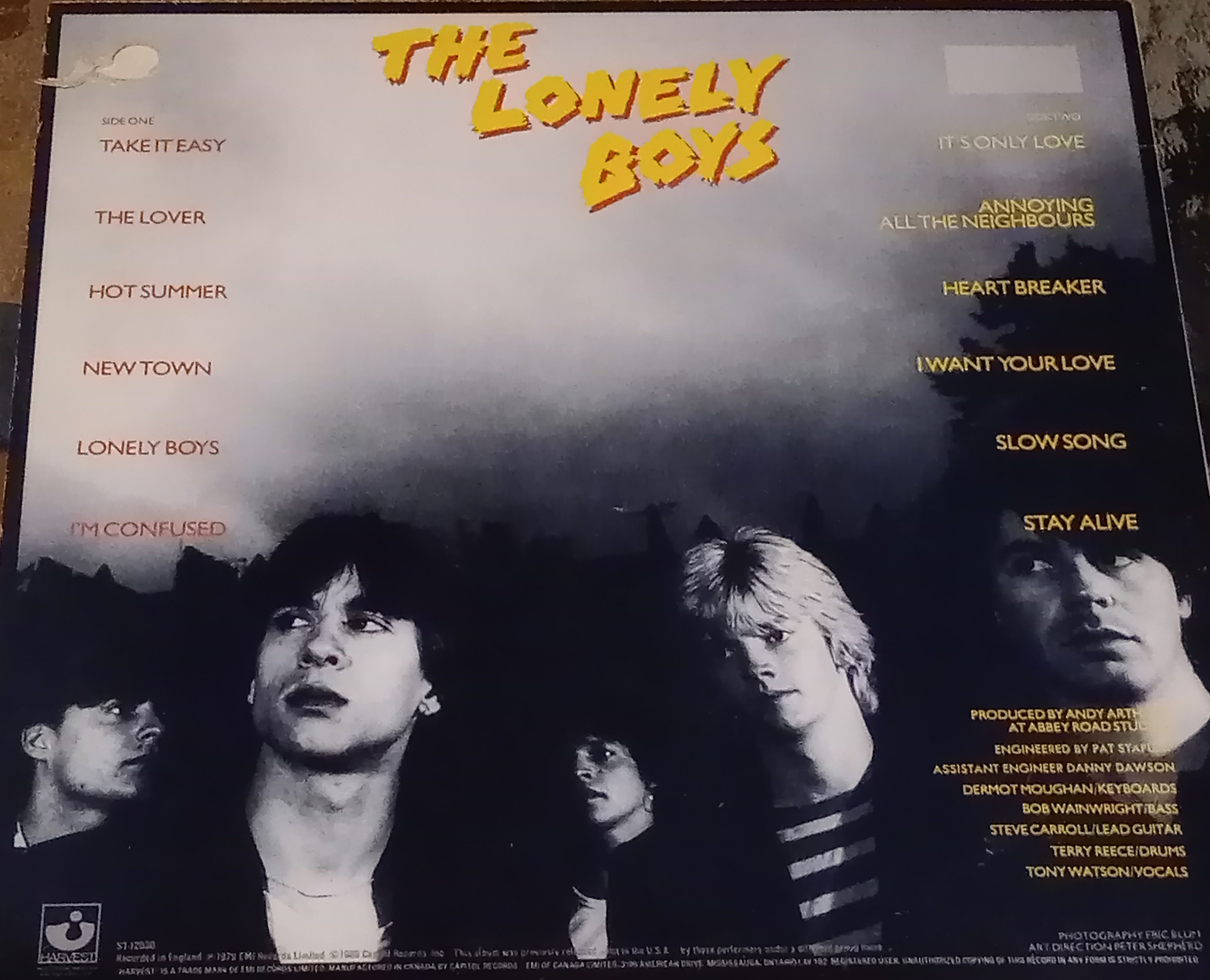 The Lonely Boys Vinyl Record - photo 2