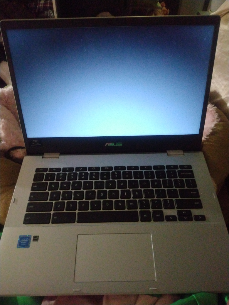 Asus Chromebook Laptop