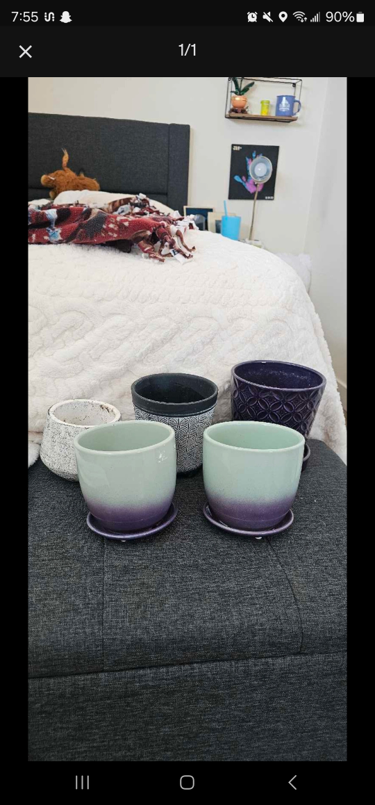Set of 5 Decorative Planters