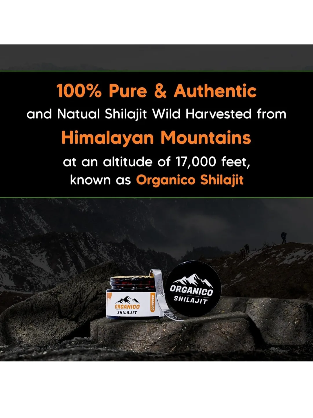 Organico Shilajit Supplement - 100 Servings image indicator(6)