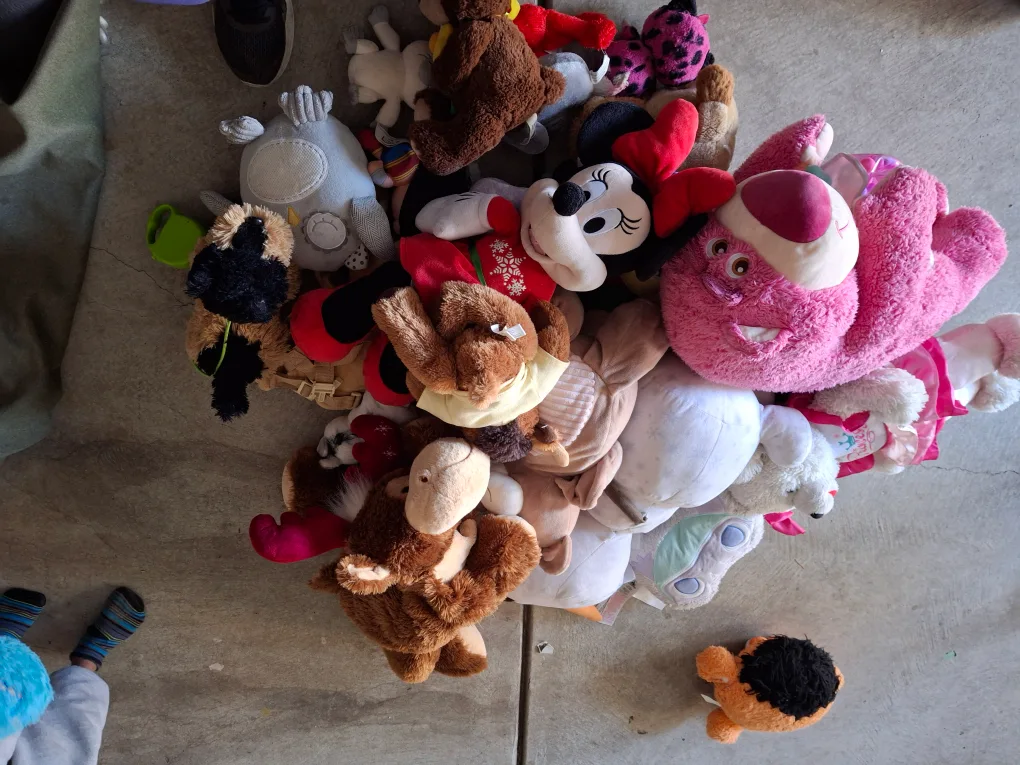Huge Lot of Stuffed Animals - Toys for Kids thumbnail