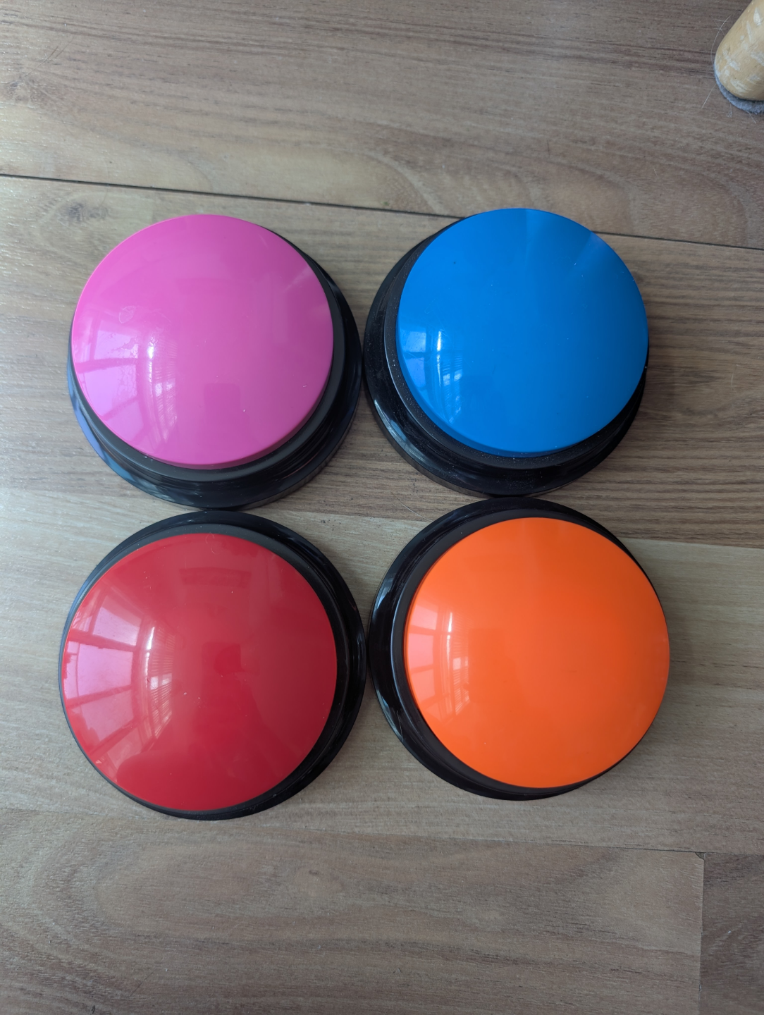 dog training push buttons