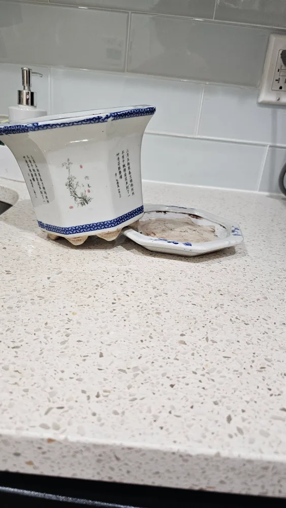  Octagonal Chinese Planter with Saucer 🥕💚 image indicator(7)